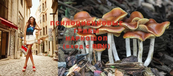 СК Нягань
