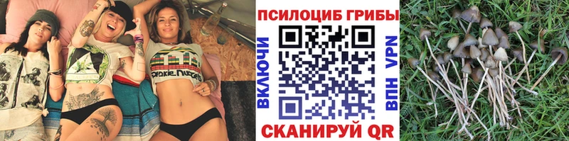 Псилоцибиновые грибы мухоморы  Щигры 